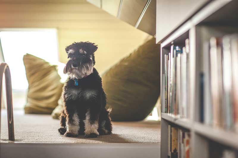 Bonnie with Books